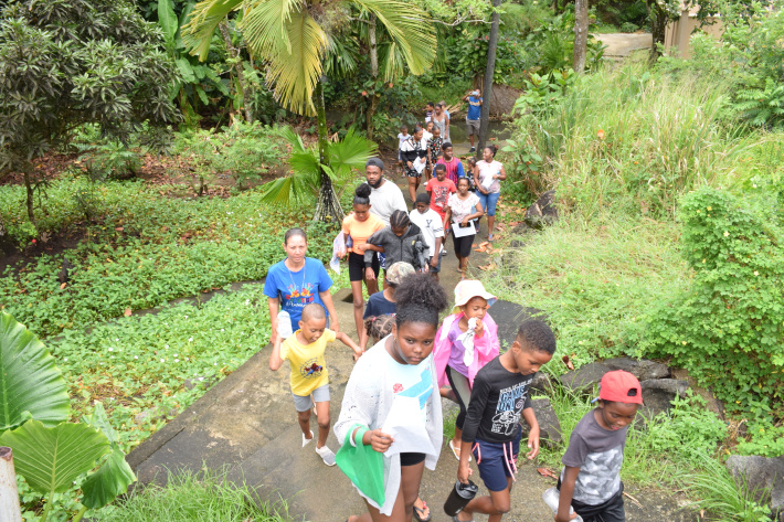 Pointe Larue and Bel Air children learn more about mangroves