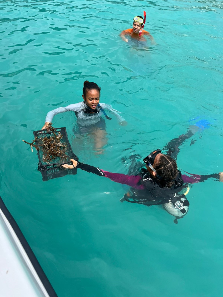 Successful start to SMA’s coral relocation project