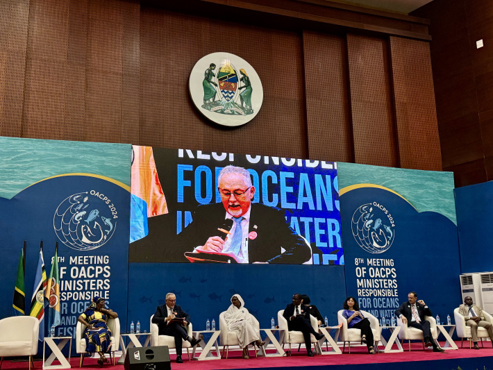 8th OACPS meeting for ministers responsible for oceans, inland waters, and fisheries