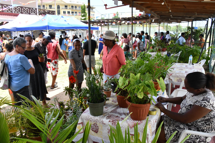 Horticulture show promotes home gardening