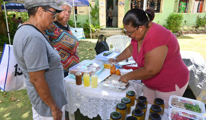 Bazar Domaine i en sikse