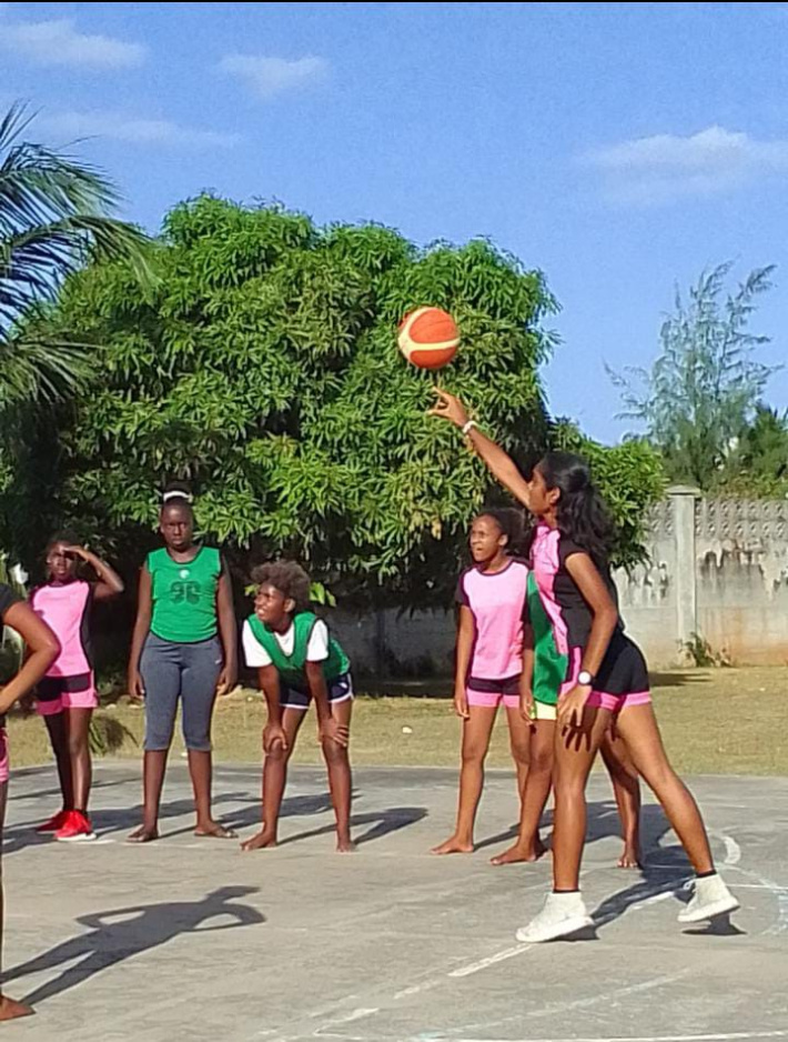 Sports for Schools Association: Basketball-Handball