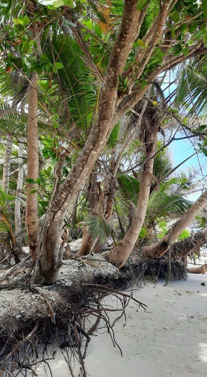 Are we truly caring for our beaches?