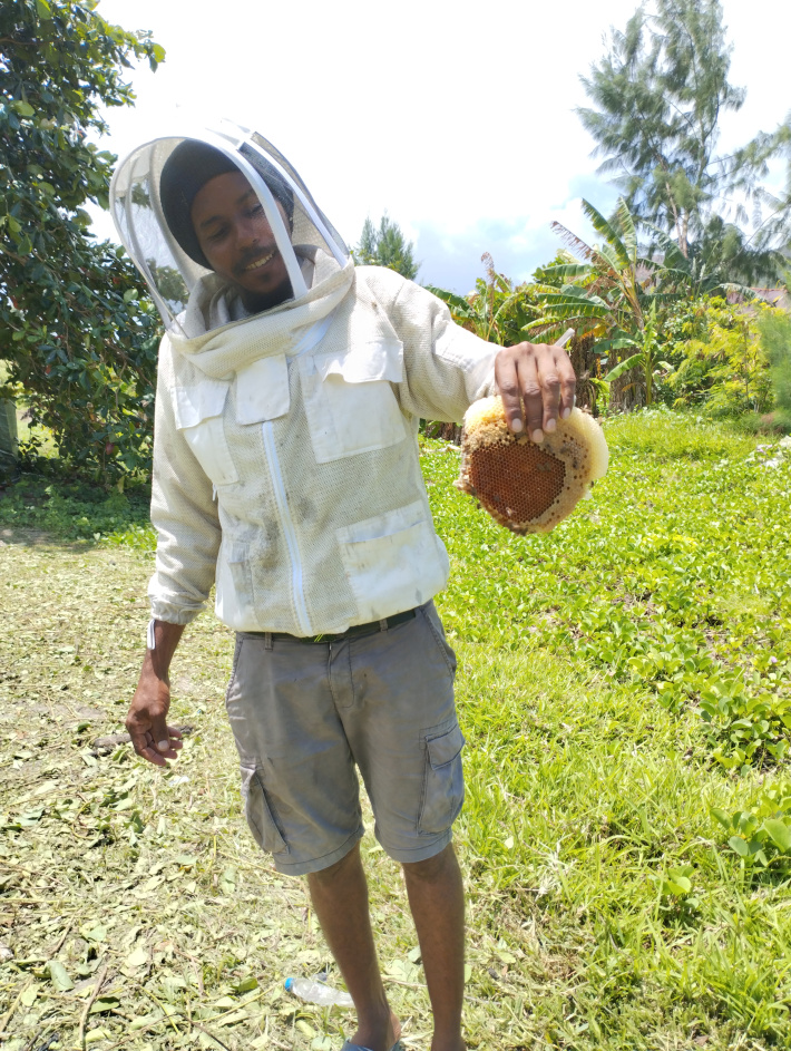 Up Close with Roddy Rose, a beekeeper from Praslin