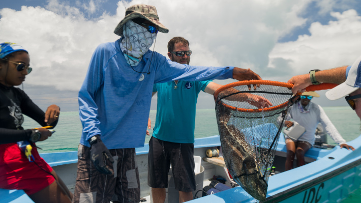 ODISEA expeditions kick off in Seychelles in support of IUCN’s Great Blue Wall Initiative