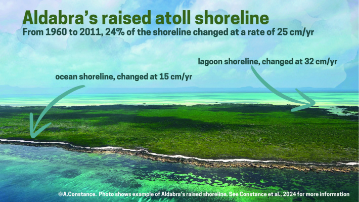 Aldabra’s shoreline resilient against rising seas - study