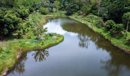 World Wetlands Day 2025   