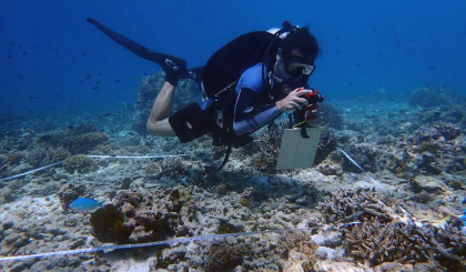 Canon, Coral Spawning Lab and Nature Seychelles team up to regenerate coral reefs