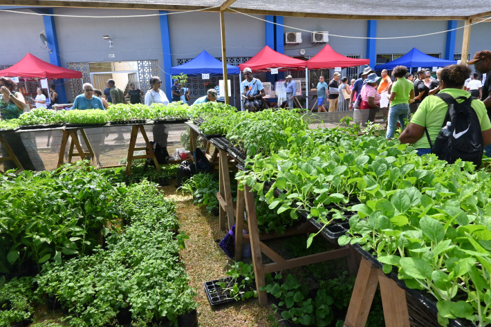 Foire de l’Agriculture et de l’Alimentation 2025
