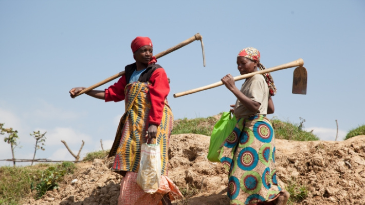 World Bank’s FoodSystems 2030