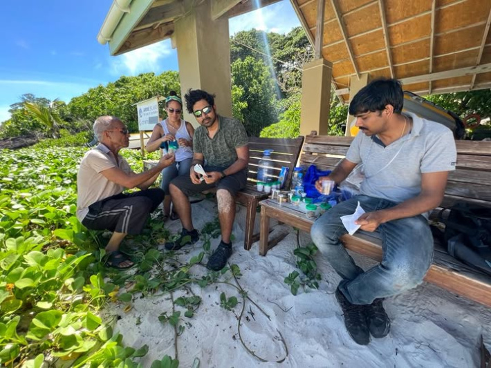 Fruit flies in Seychelles