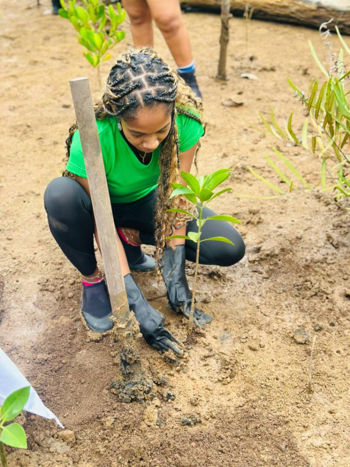SPA teams up with partners to mark World Mangroves Day