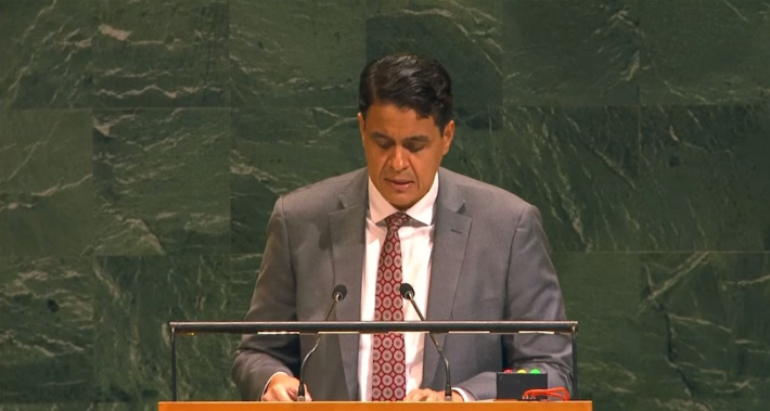 Seychelles ambassador to the UN delivers statement on Palestine
