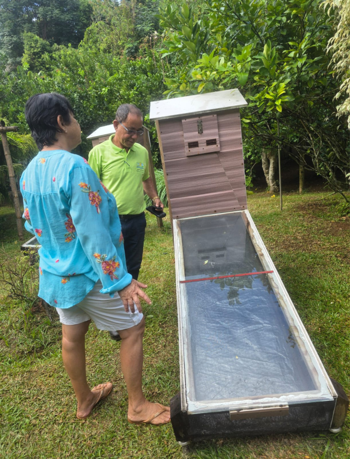 Strengthening vanilla production in Seychelles: CIRAD consultant concludes productive mission