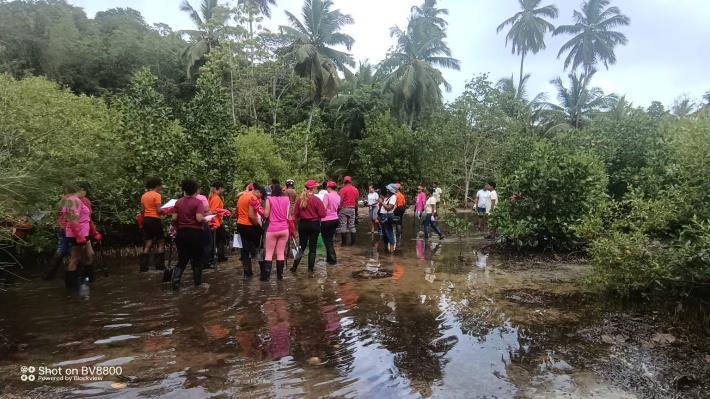 Protecting wetlands for our future