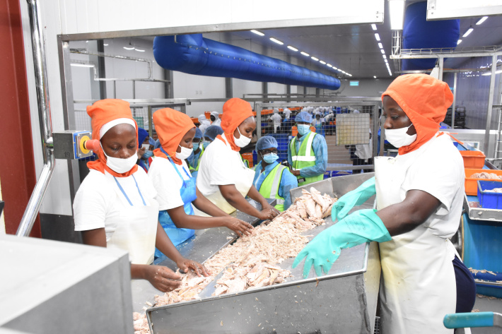 EU Court ruling opens door for stricter tuna conservation in Indian Ocean