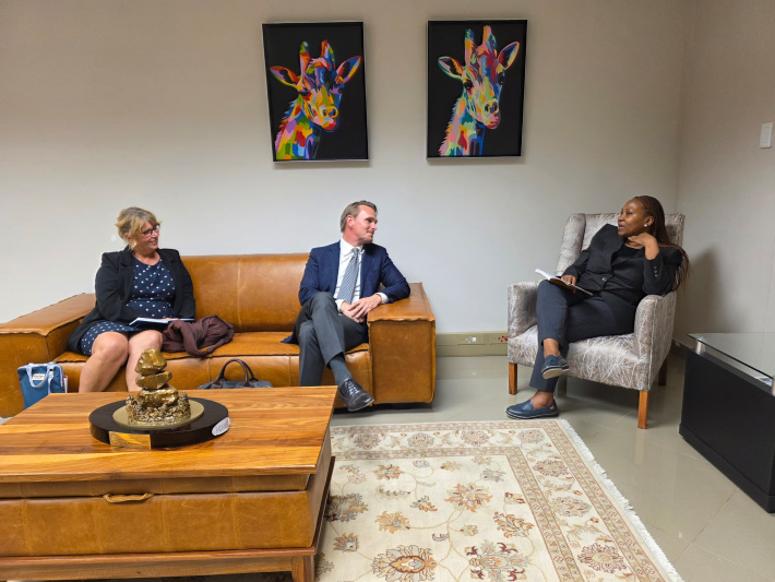 ‘Parliaments are the beating hearts of democracy’ – new Swedish deputy envoy