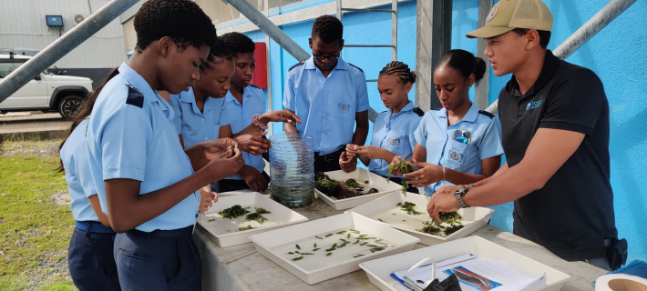 Aquaculture