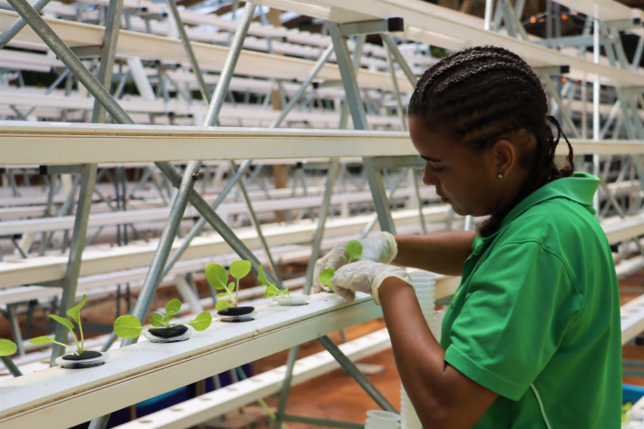 Step into the future of farming
