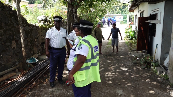 En zonm i ganny dimal pandan travay   