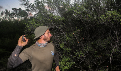 The RaCE for Aldabra’s future (Part V)