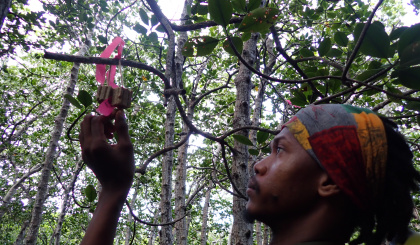 The RaCE for Aldabra’s future (Part VI)