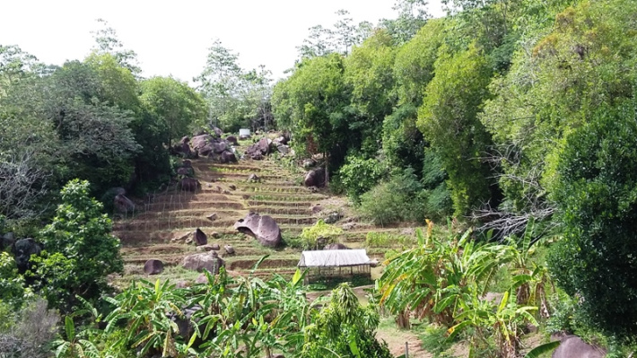 Terrace farming – The pros and cons