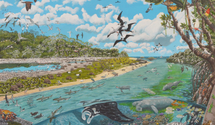 The RaCE for Aldabra’s future (Part VII)