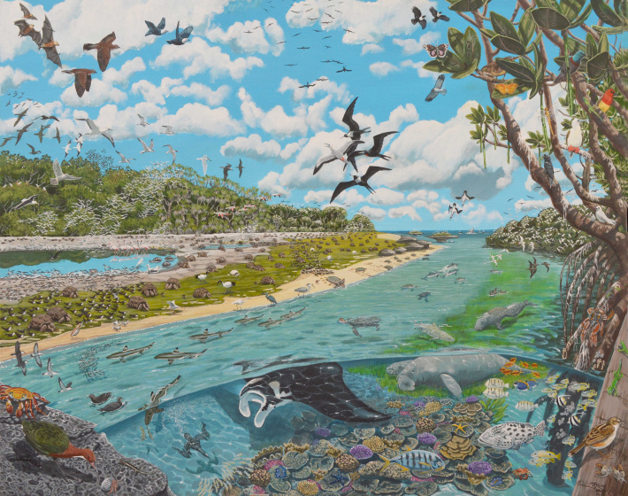 The RaCE for Aldabra’s future (Part VII)