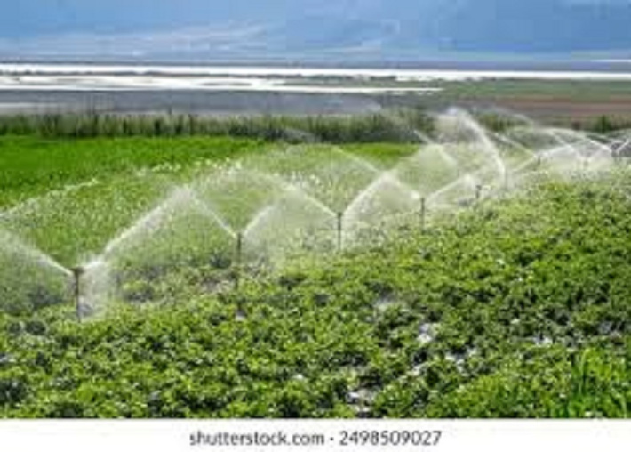 The importance of water conservation in agriculture