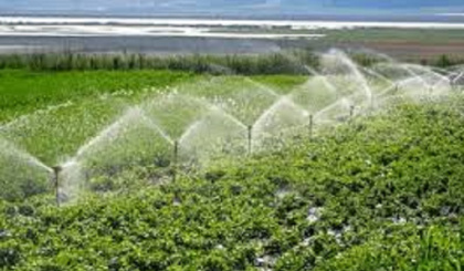 The importance of water conservation in agriculture