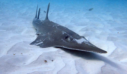 Leave only footprints: Practicing responsible and ethical tourism