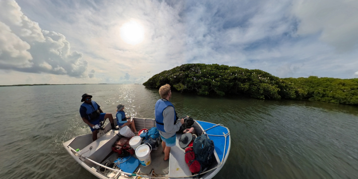 Aldabra’s red-footed booby population soars past 45,000 pairs to become largest in the Indian Ocean