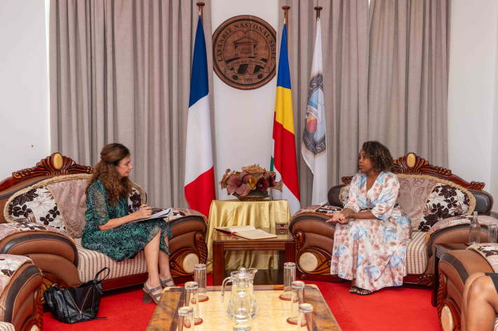 French ambassador Anne Tallineau calls on Speaker Ernesta