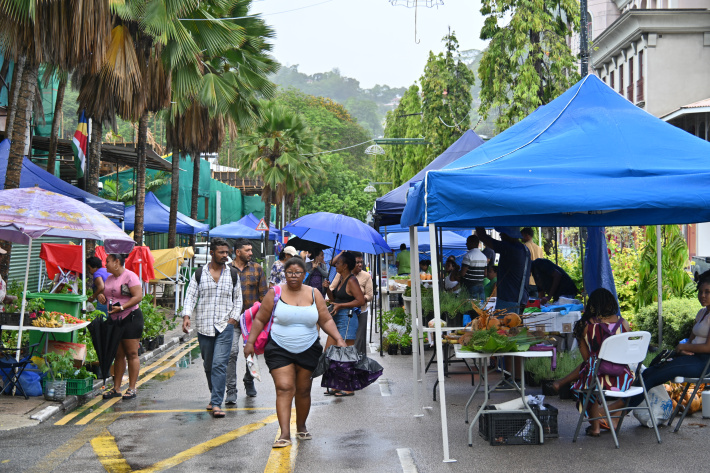 Lafwar agrikol i atir en bon nonm dimoun malgre lapli