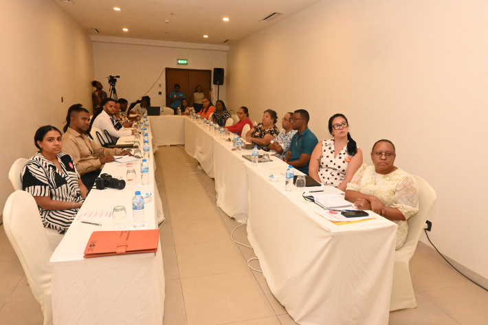 Seychelles media empowered to report on gender-based violence