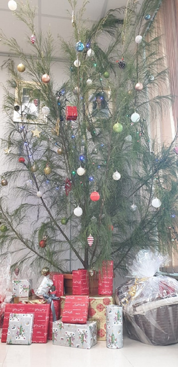 The magic of the Christmas tree in Seychelles homes