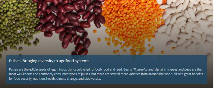 World Pulses Day: Pulses bringing diversity to agrifood systems