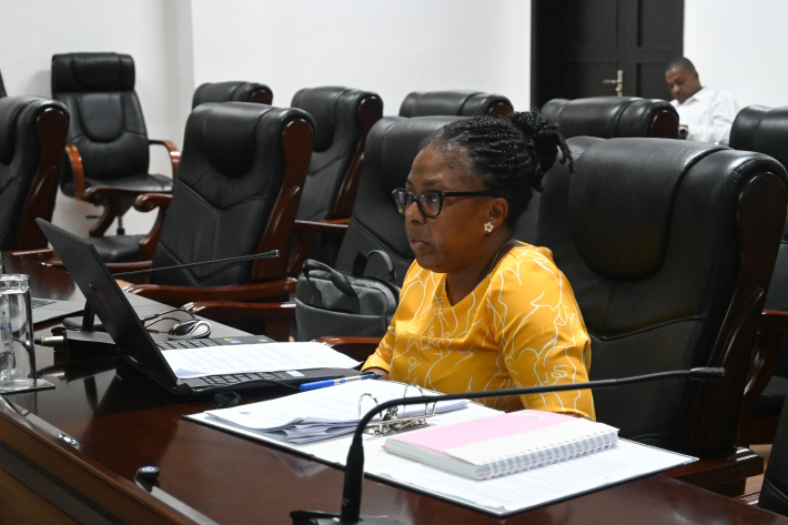 Assomption Commission of Inquiry continues with second day of hearings