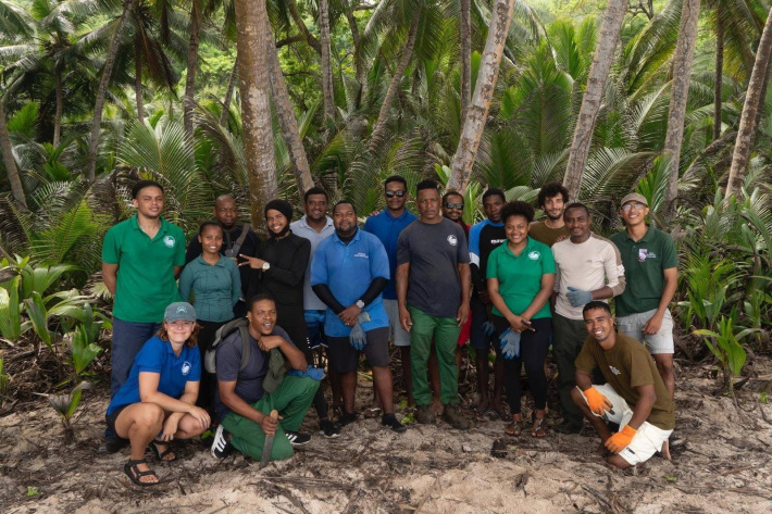 Vegetation cleanup to boost sea turtle nesting on Ste Anne