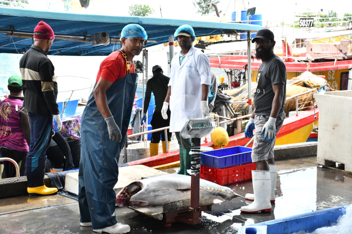 Ocean Basket charts a steady course from bycatch to centre stage