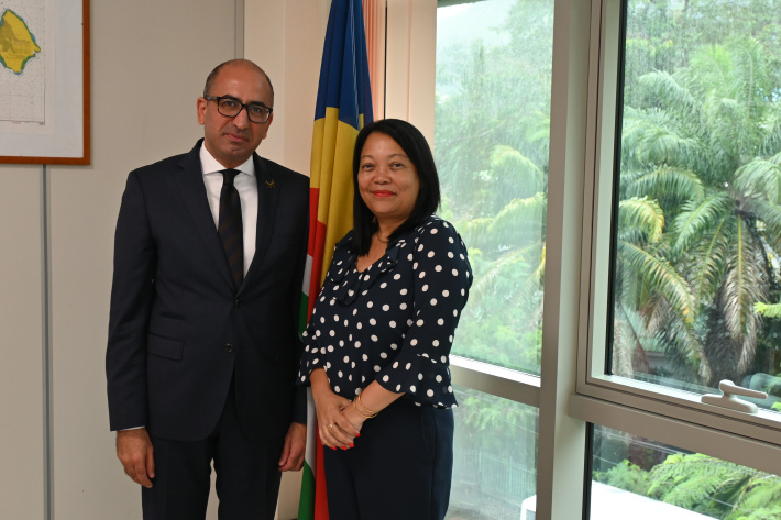 Minister for Transport, Ports and Civil Aviation meets Egyptian ambassador