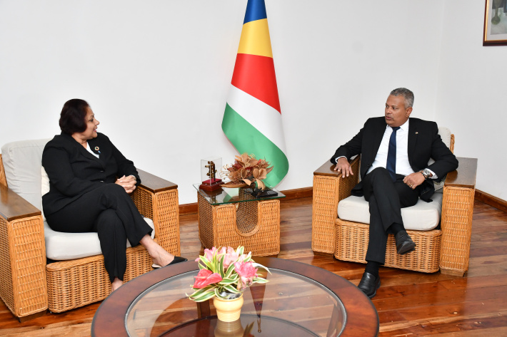 UNDP resident representative pays courtesy call on Vice-President Pillay