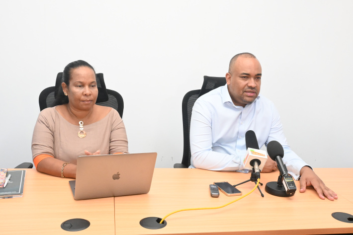 Zibile Lor Lendepandans Sesel