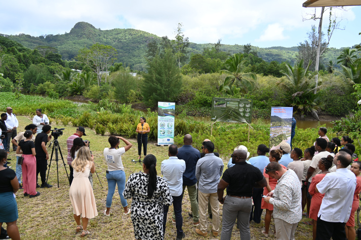 Hands-on wetland restoration at Canopy by Hilton Seychelles