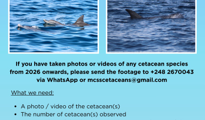 Marine Conservation Society Seychelles launches community-based cetacean monitoring project