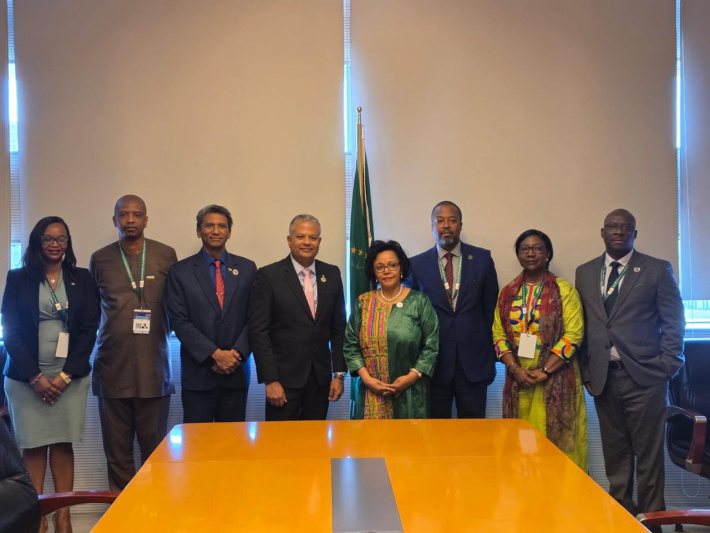 39th Ordinary Session of the Assembly of the African Union