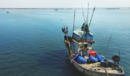 Transparency in fisheries management