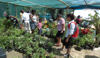 Assembly backs government’s plans to strengthen agricultural sector