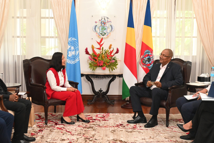 UN resident coordinator meets President Herminie to discuss key national challenges